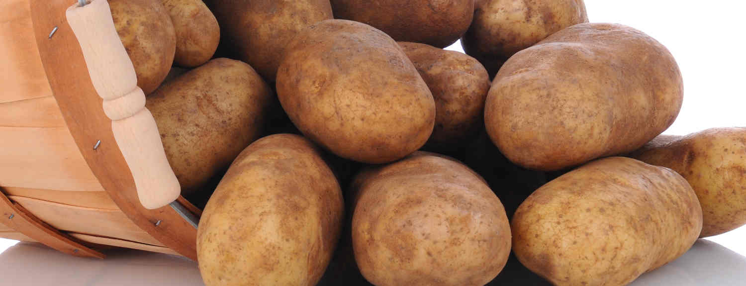 Featured special of the week at Ed's Orchard Market